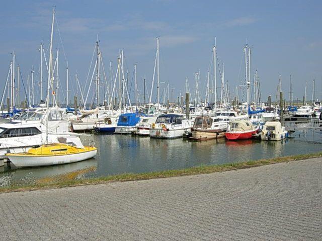 Nordsee-Ferienanlage-Wohnung-Baltrum 도누메시어 외부 사진